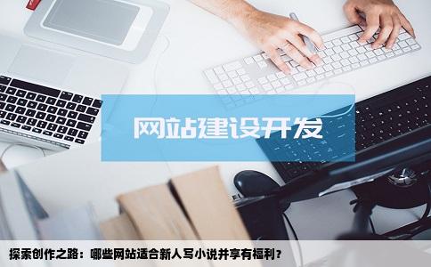 探索创作之路：哪些网站适合新人写小说并享有福利？