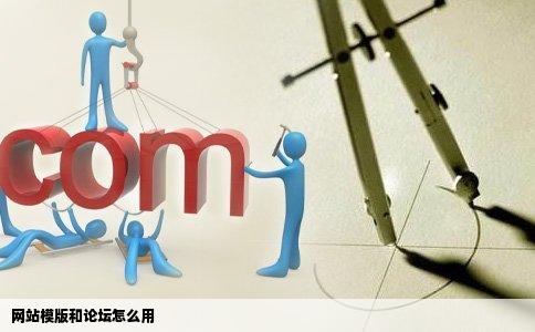 网站模版和论坛怎么用