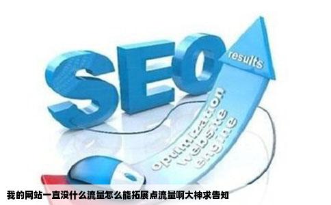 我的网站一直没什么流量怎么能拓展点流量啊大神求告知