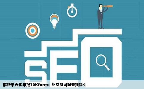 解析中石化年报10Kform：纽交所网站查找指引