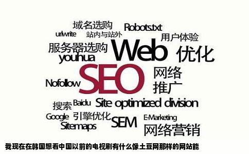 我现在在韩国想看中国以前的电视剧有什么像土豆网那样的网站能