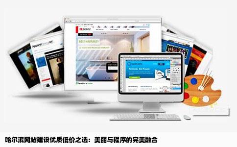 哈尔滨网站建设优质低价之选：美丽与程序的完美融合