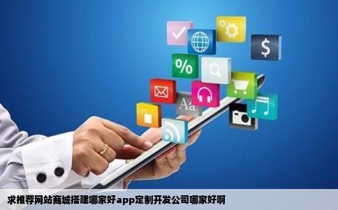 求推荐网站商城搭建哪家好app定制开发公司哪家好啊