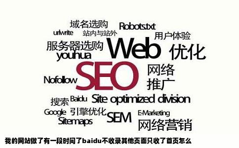 我的网站做了有一段时间了baidu不收录其他页面只收了首页怎么