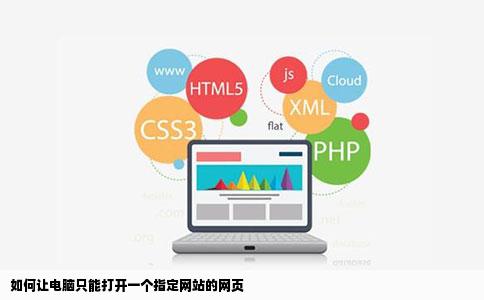 如何让电脑只能打开一个指定网站的网页