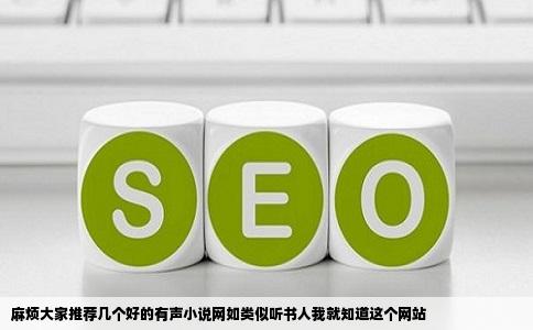 麻烦大家推荐几个好的有声小说网如类似听书人我就知道这个网站