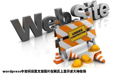 wordpress中如何设置文章图片在网页上显示求大神指导