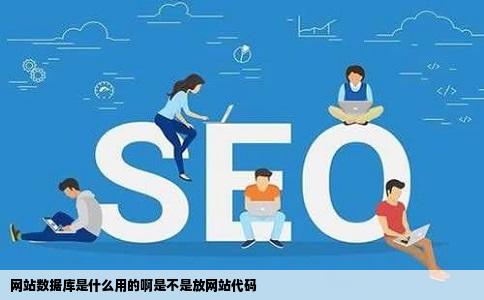 网站数据库是什么用的啊是不是放网站代码