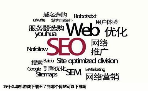 为什么单机游戏下载不了到哪个网站可以下载啊