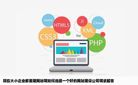 现在大小企业都要建网站呢如何选择一个好的网站建设公司呢求解答