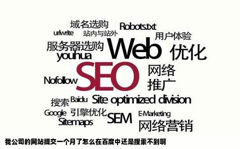 我公司的网站提交一个月了怎么在百度中还是搜索不到啊