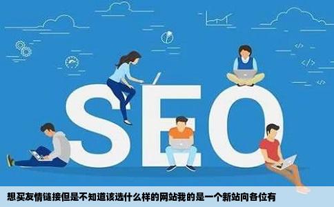 想买友情链接但是不知道该选什么样的网站我的是一个新站向各位有