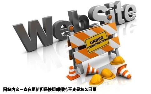 网站内容一直在更新但是快照却保持不变是怎么回事