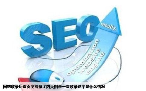 网站收录后首页突然掉了内页倒是一直收录这个是什么情况