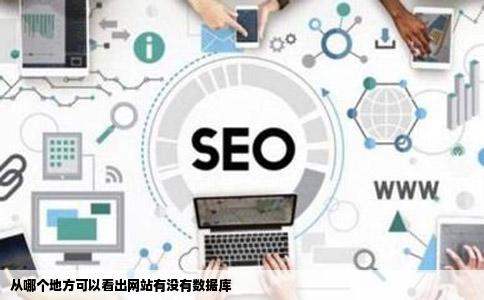 从哪个地方可以看出网站有没有数据库