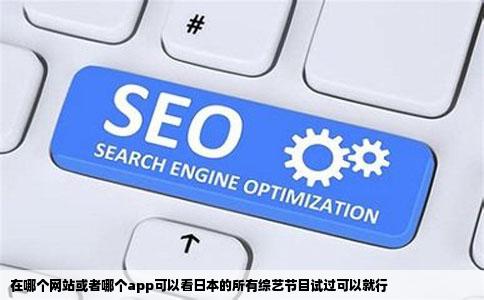 在哪个网站或者哪个app可以看日本的所有综艺节目试过可以就行