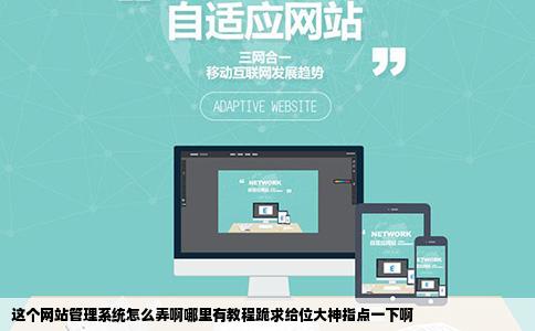这个网站管理系统怎么弄啊哪里有教程跪求给位大神指点一下啊