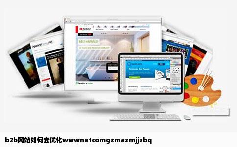 b2b网站如何去优化wwwnetcomgzmazmjjzbq