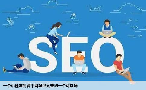 一个小说发到两个网站但只签约一个可以吗