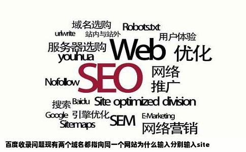 百度收录问题现有两个域名都指向同一个网站为什么输入分别输入site