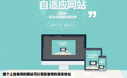 哪个上传音频的网站可以看到音频的真实地址