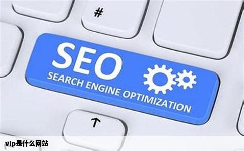 vip是什么网站