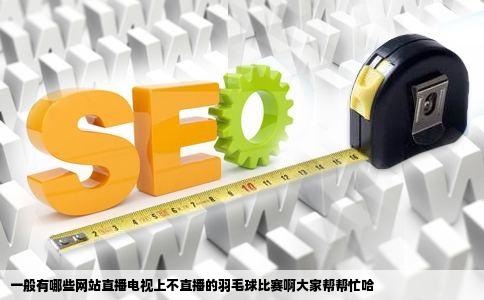 一般有哪些网站直播电视上不直播的羽毛球比赛啊大家帮帮忙哈