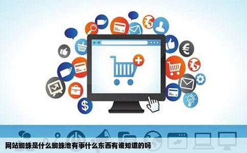 网站蜘蛛是什么蜘蛛池有事什么东西有谁知道的吗