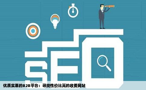 优质实惠的B2B平台：寻找性价比高的收费网站