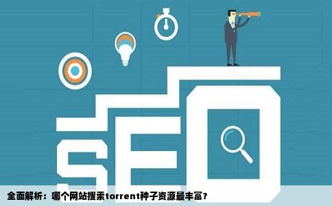 全面解析：哪个网站搜索torrent种子资源最丰富？