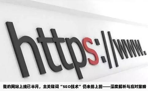 我的网站上线已半月，主关键词“SEO技术”仍未排上前——深度解析与应对策略