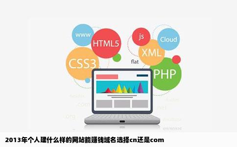 2013年个人建什么样的网站能赚钱域名选择cn还是com