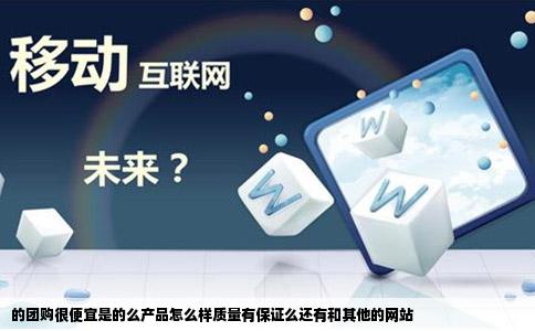 的团购很便宜是的么产品怎么样质量有保证么还有和其他的网站