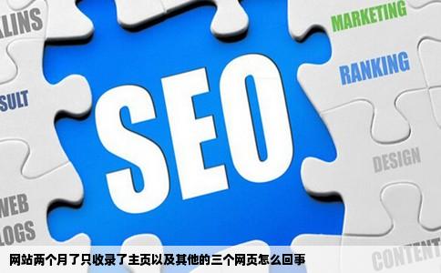 网站两个月了只收录了主页以及其他的三个网页怎么回事