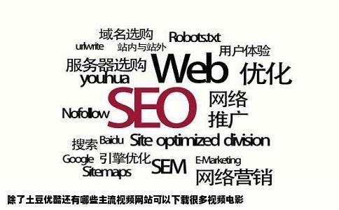 除了土豆优酷还有哪些主流视频网站可以下载很多视频电影