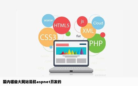 国内哪些大网站是和aspnet开发的