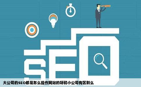 大公司的SEO都是怎么操作网站的呀和小公司有区别么