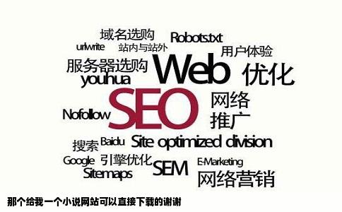 那个给我一个小说网站可以直接下载的谢谢