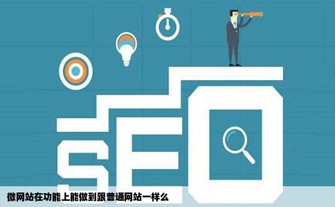 微网站在功能上能做到跟普通网站一样么