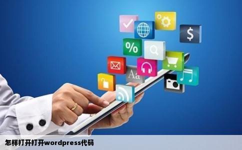 怎样打开打开wordpress代码