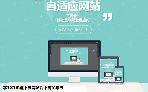 求TXT小说下载网站能下载全本的