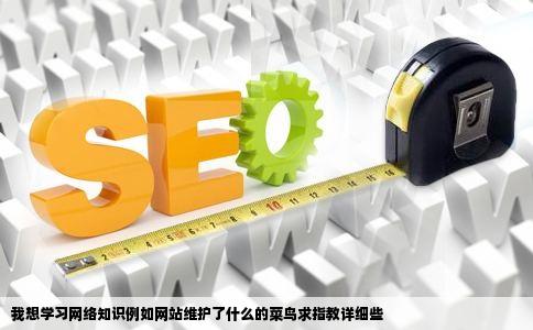 我想学习网络知识例如网站维护了什么的菜鸟求指教详细些