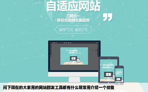 问下现在的大家用的网站群发工具都有什么啊常用介绍一个给我