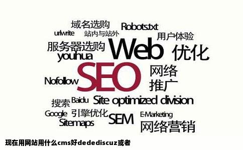 现在用网站用什么cms好dedediscuz或者