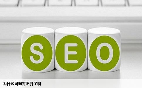 为什么网站打不开了啊