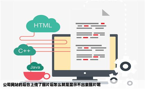 公司网站的后台上传了图片后怎么就是显示不出来图片呢