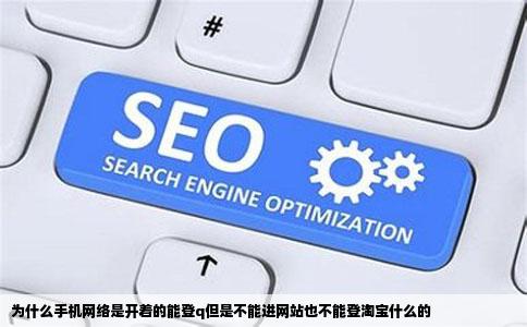 为什么手机网络是开着的能登q但是不能进网站也不能登淘宝什么的
