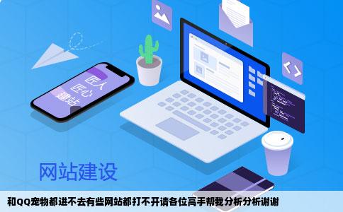 和QQ宠物都进不去有些网站都打不开请各位高手帮我分析分析谢谢