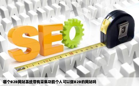 哪个B2B网站系统带有采集功能个人可以做B2B的网站吗