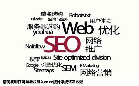请问我想在网站后台加入cnzz统计系统该怎么做